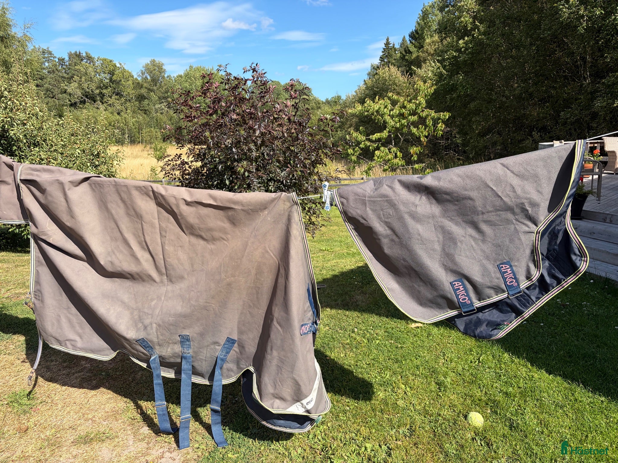 Täcken hästutrustning Amigo bravo 12 plus - Annons 10