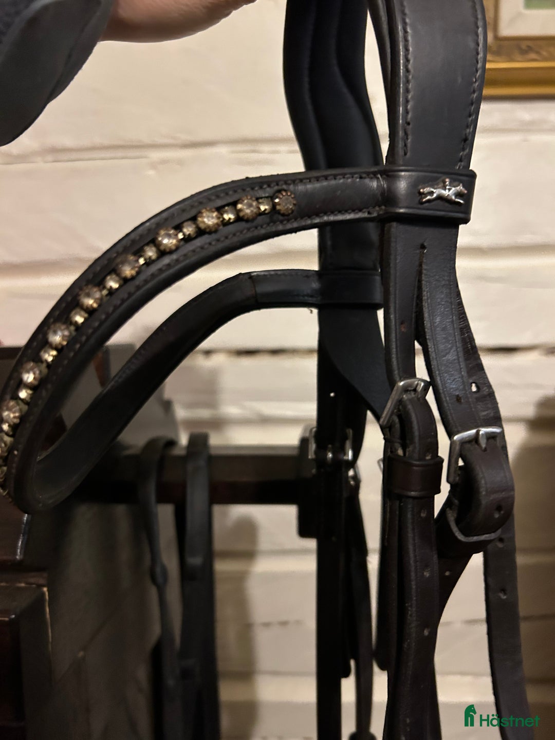 Träns hästutrustning till salu: Schockemöhle träns  i Bollebygd - Annons 2