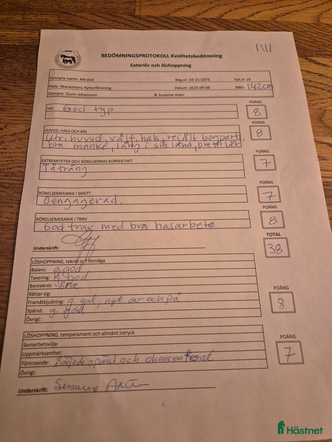 Hoppning hästar till salu: Charmig 4-årig ridponny valack i Skara - Annons 7