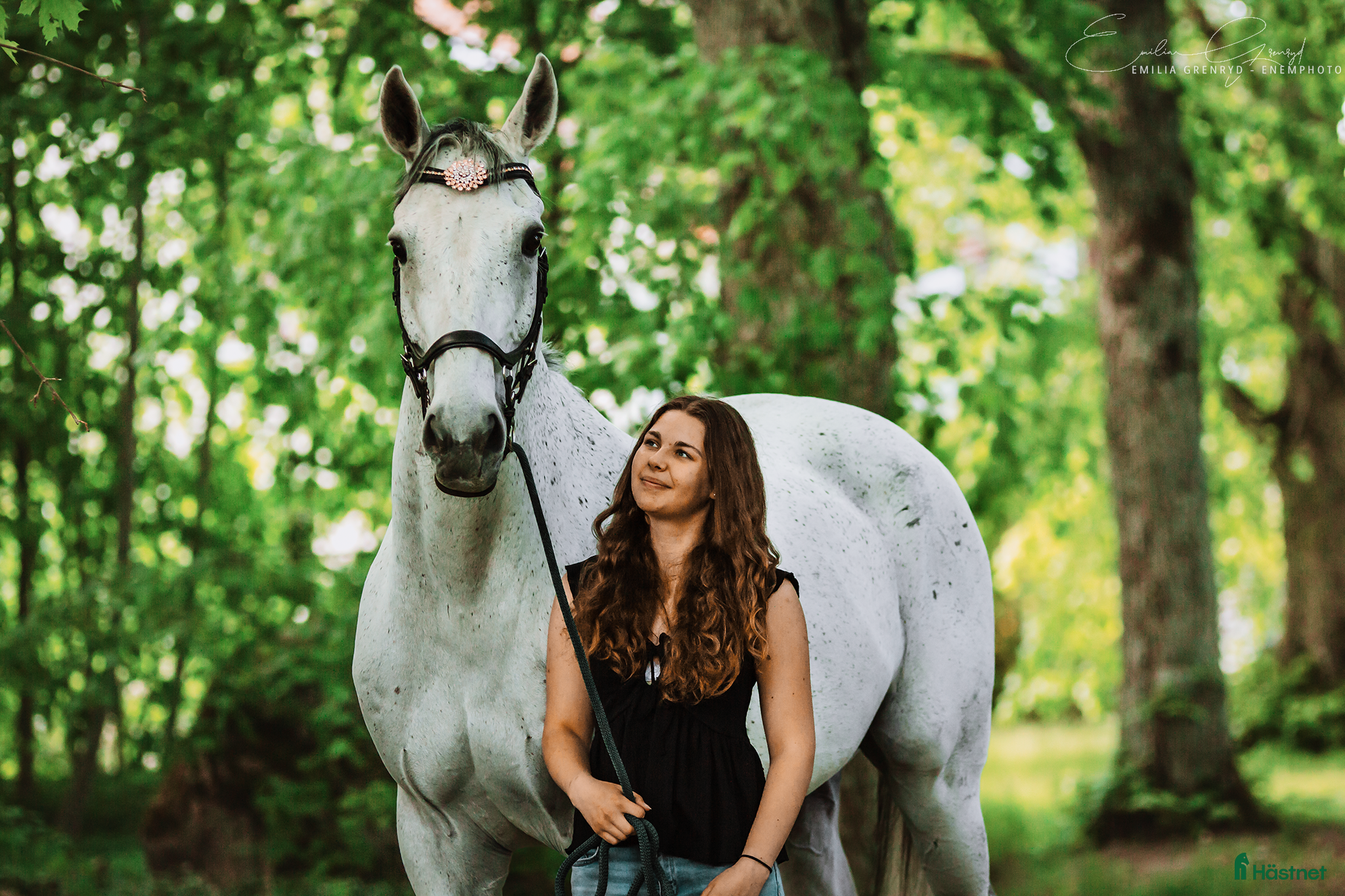  hästar Fin & mysig bästa vän att träna och utvecklas med - Annons 1