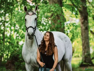 hästar Fin & mysig bästa vän att träna och utvecklas med - Annons 1