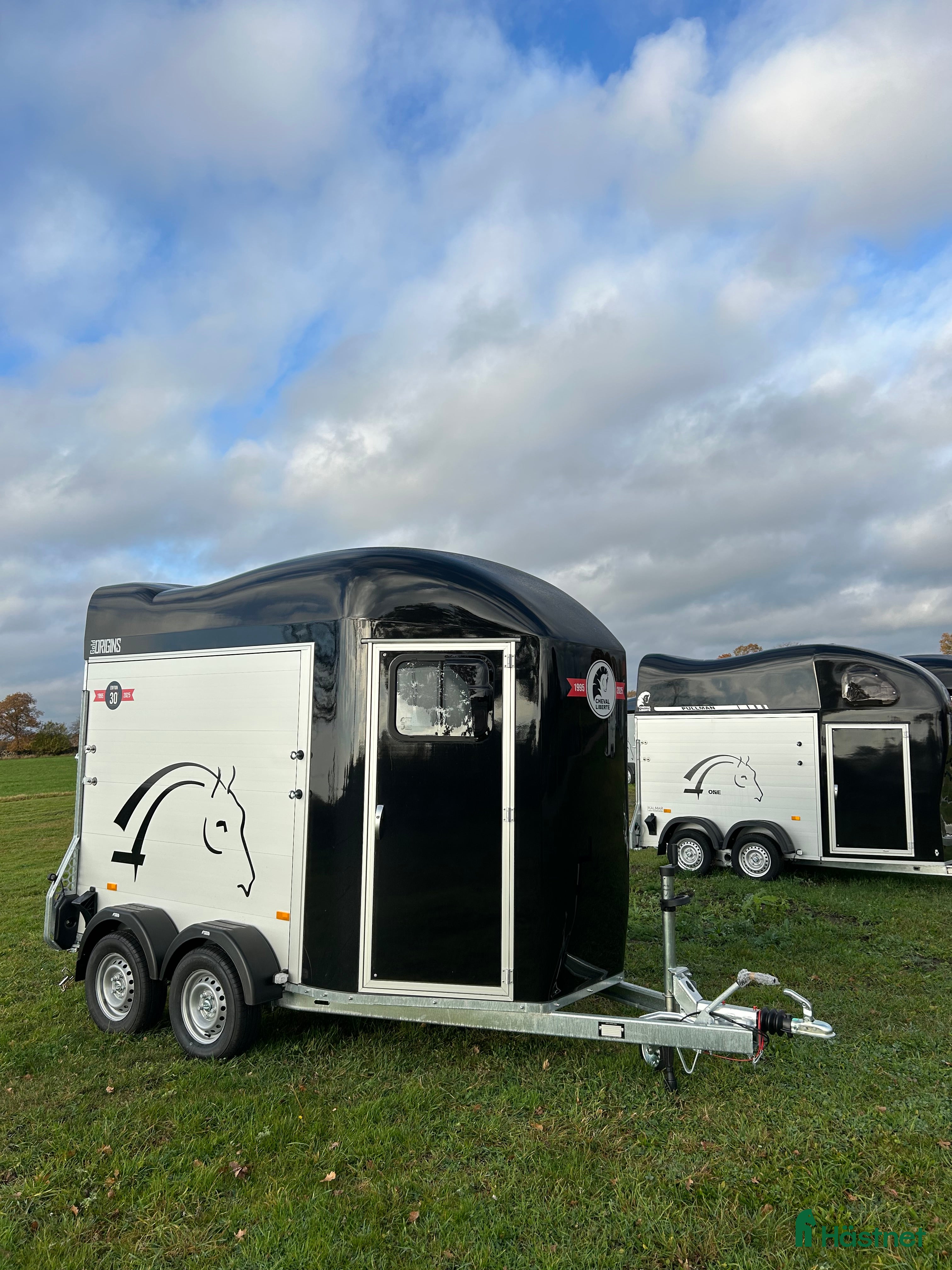 Hästtransporter  fordon & transport till salu: Cheval Gold Origins i Kalmar - Annons 2