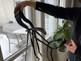 Träns hästutrustning Ps of Sweden träns i Ekerö - Annons 15