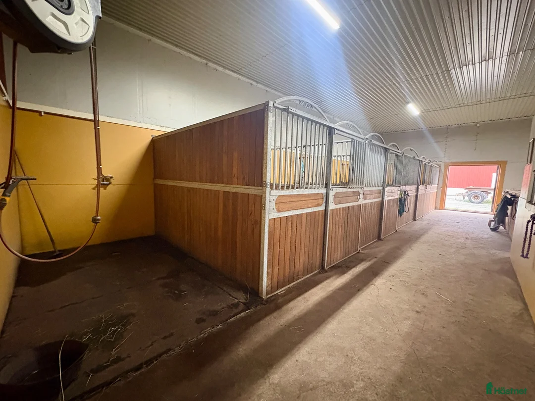  stallplats finnes: Helt stall uthyres, privat bruk i Kolsva - Annons 2