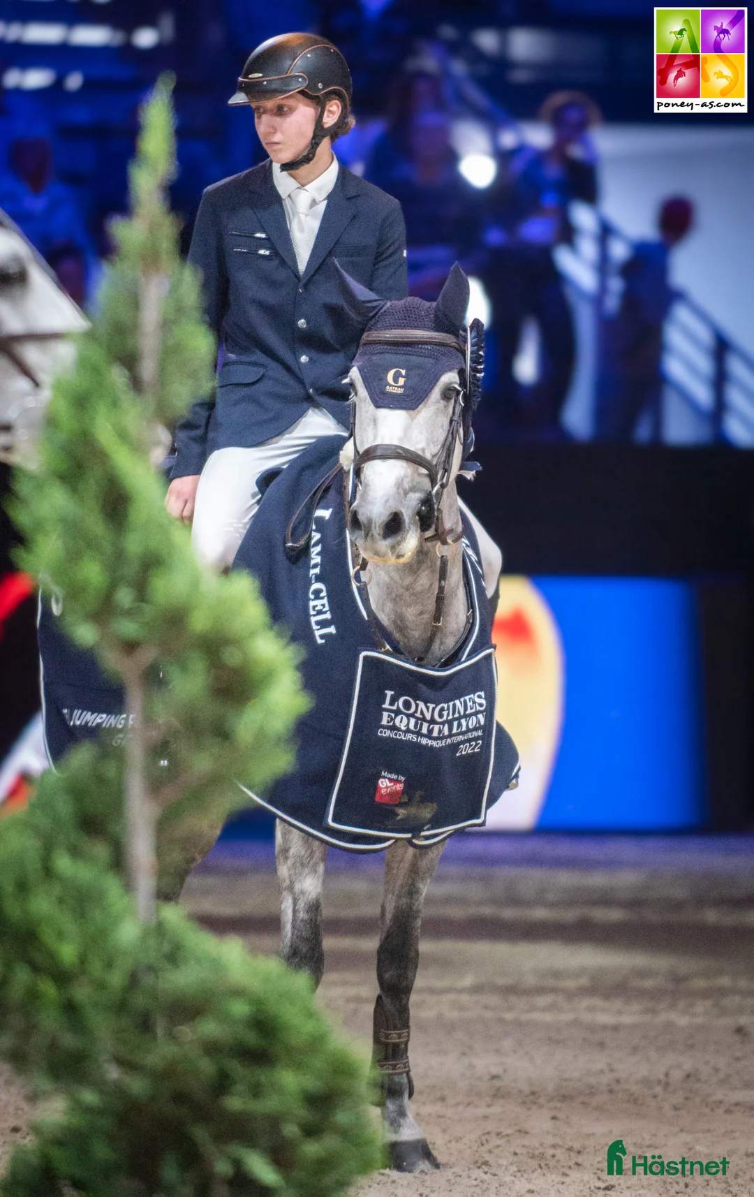 Hoppning hästar till salu: 148 Big Tracks ponies at Gateau Stables France - Annons 10