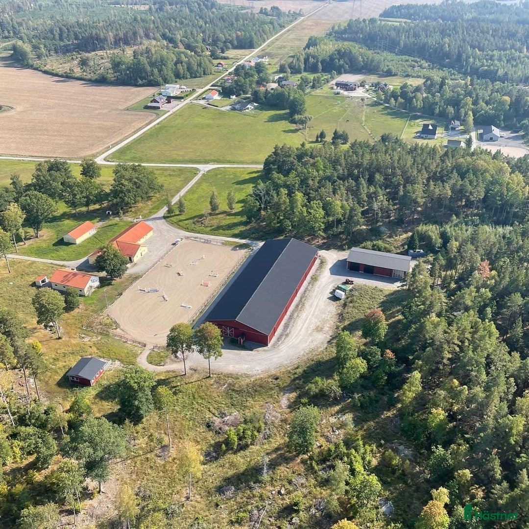  hästservice finnes: Vill du ha hjälp med din häst? i Bålsta - Bild 4