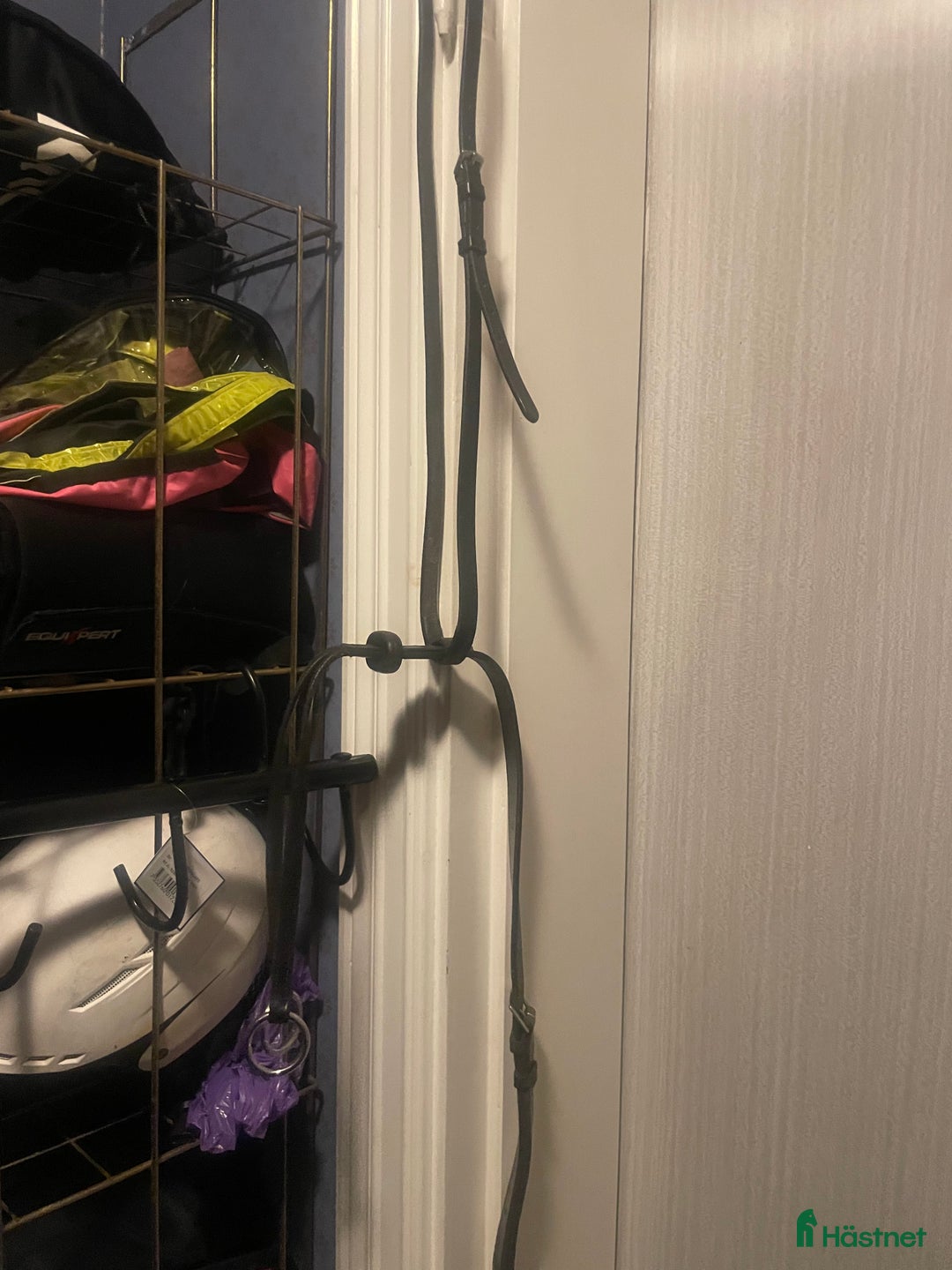 Övrig Hästutrustning hästutrustning till salu: Blandad hästutrustning!! - Annons 5