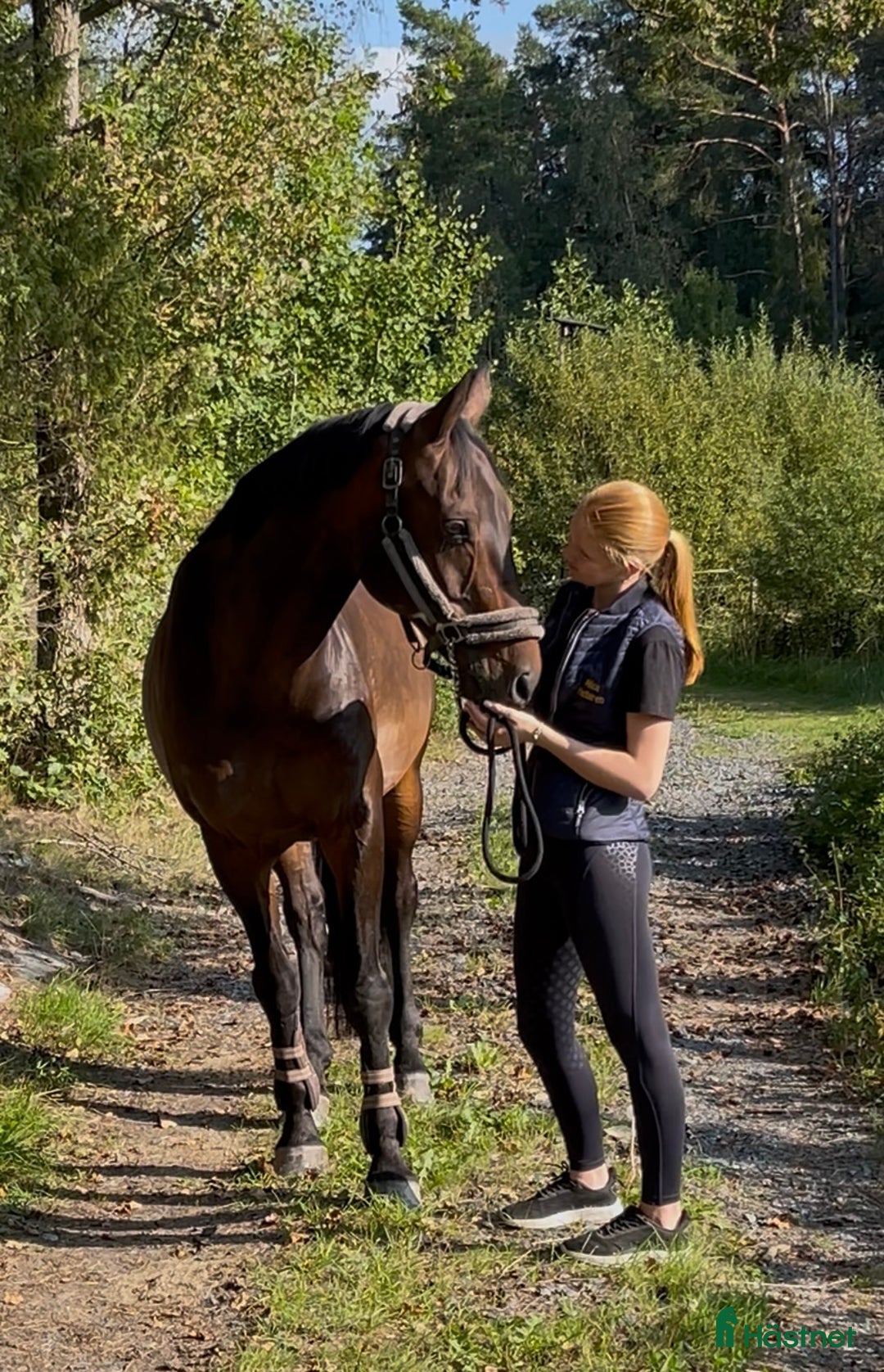 Galleribild {{count}}