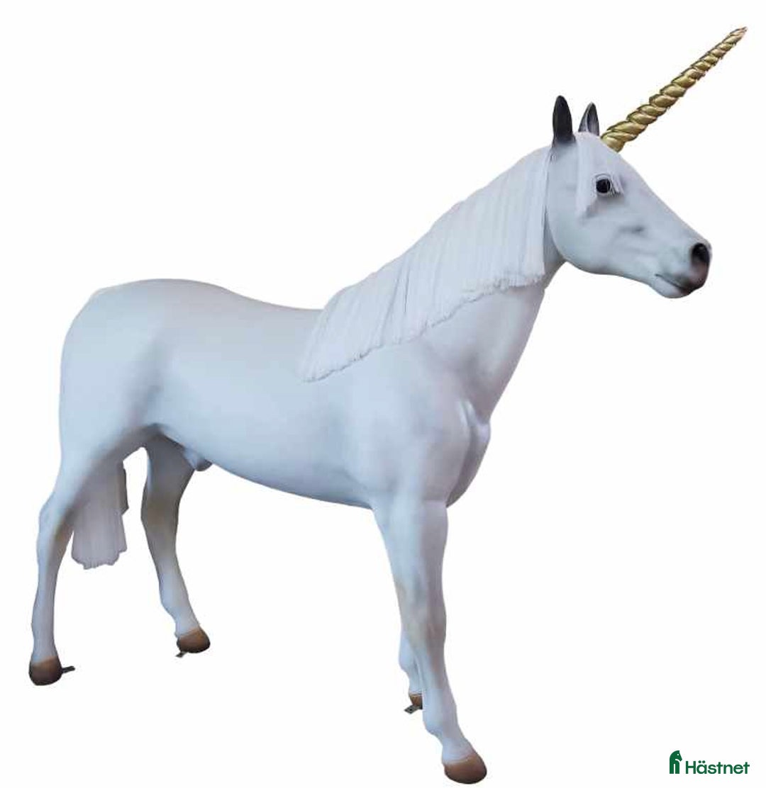 Hästinspirerad heminredning övrig utrustning till salu: Unika glasfiberhästar i naturlig storlek i Luleå - Annons 3