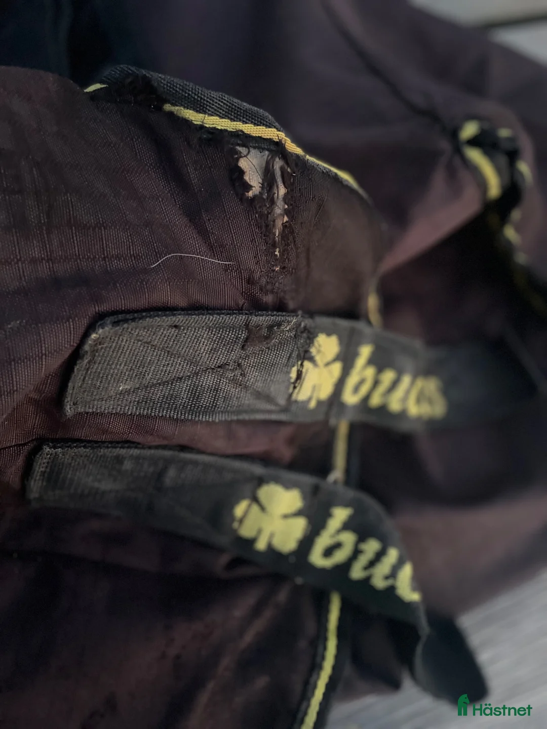 Täcken hästutrustning till salu: Bucas täcke - Annons 6