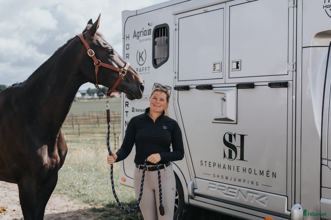 Galleribild {{count}}