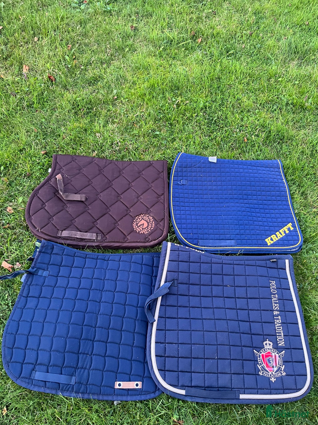 Schabrak & Vojlockar hästutrustning till salu: Schabrak flera i Aneby - Annons 1