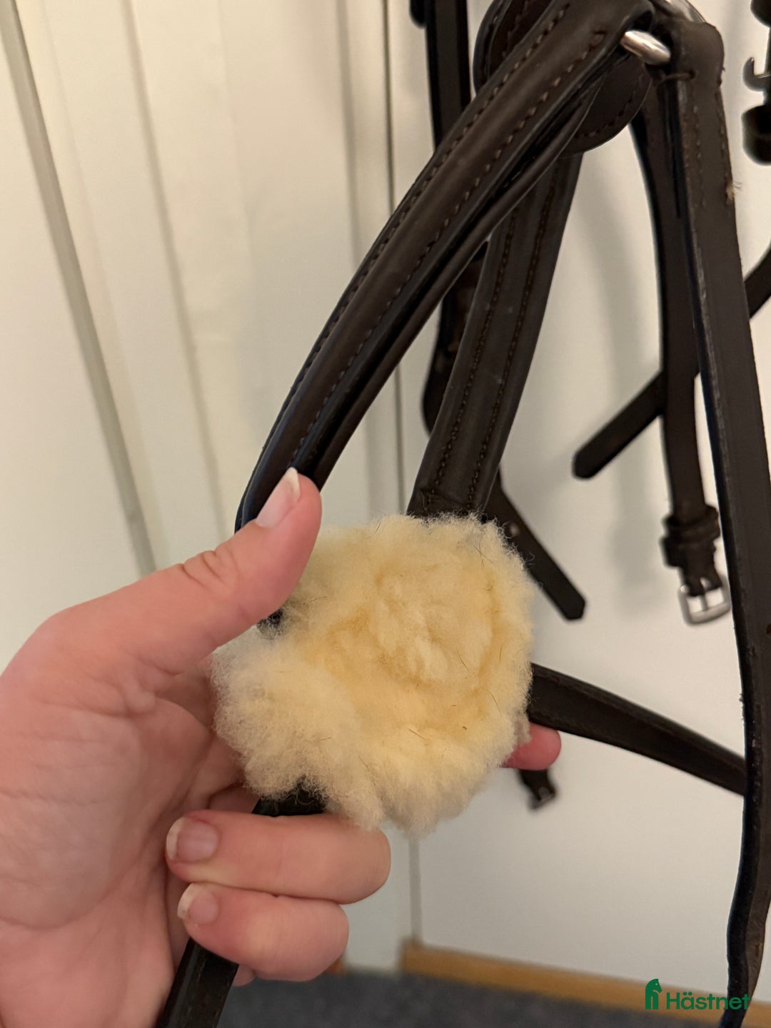 Träns hästutrustning till salu: Pullarträns i nyskick i Örebro - Annons 3