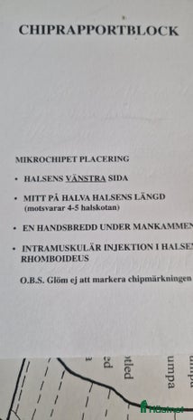 hästservice i Mellerud - Annons 15