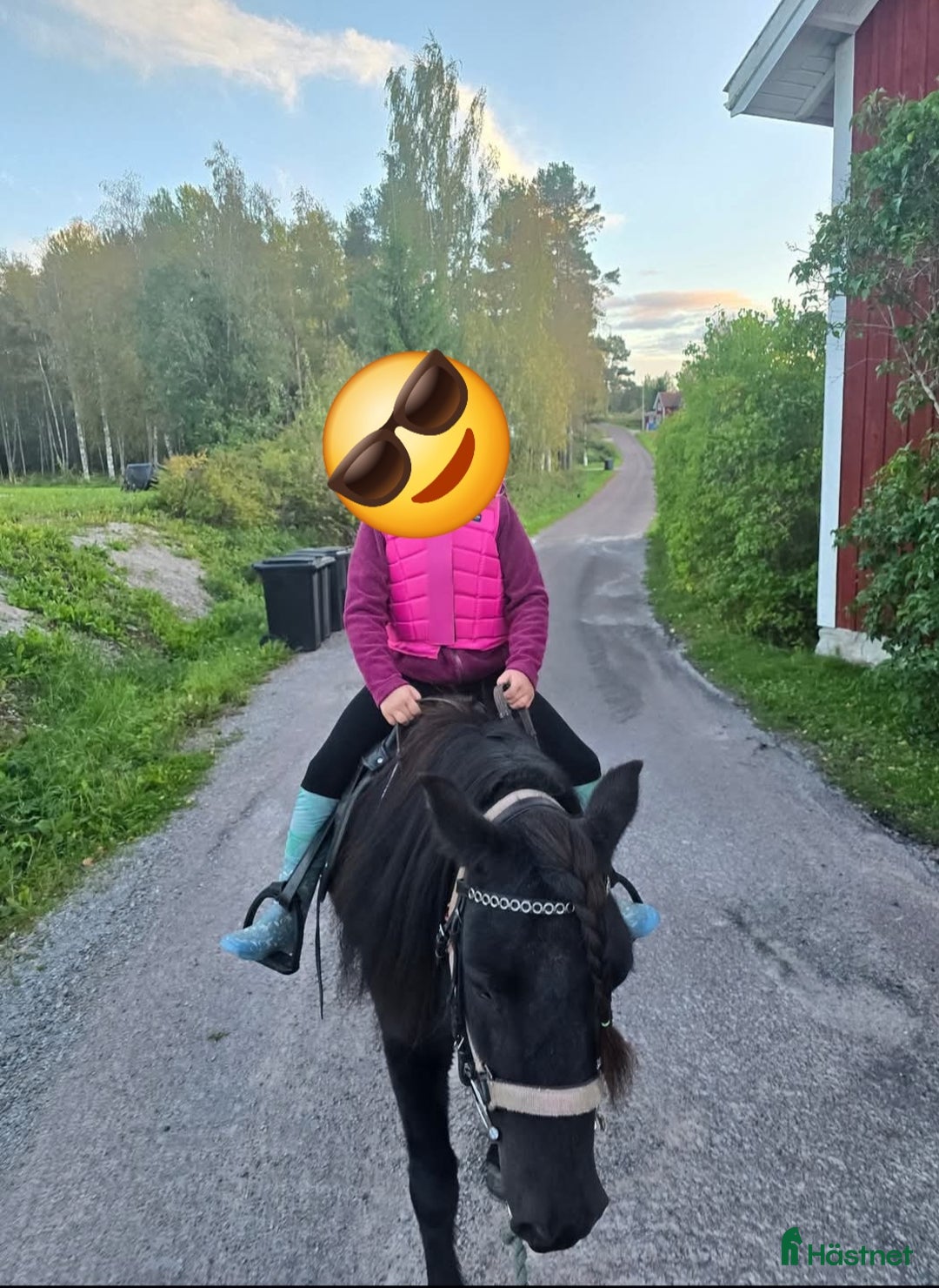 Allround hästar till salu: Allround ponny i Rättvik - Annons 5