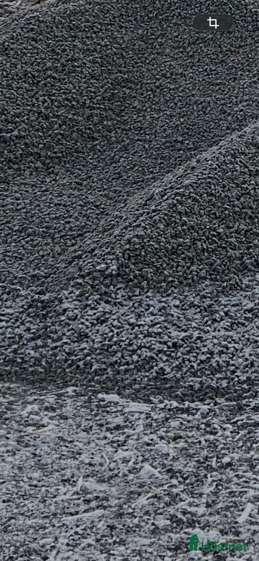 Allround hästar sökes: Körd & riden shettis sökes i Ransta - Annons 1