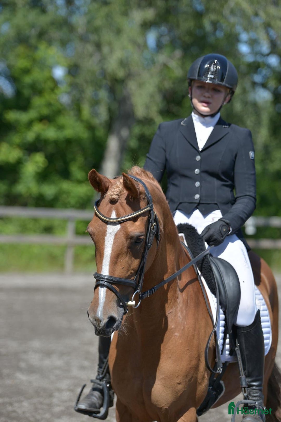 Dressyr hästar till salu: FEI ponny för framtiden! 67,5% i FEI 💥 i Ervalla - Annons 2