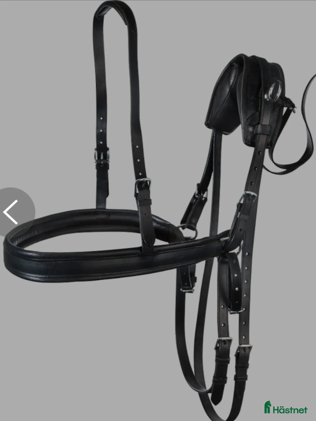 Körselar körning till salu: Bröstsele minishettis  i Väring - Annons 1