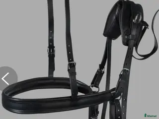 Körselar körning till salu: Bröstsele minishettis i Väring - Annons 1