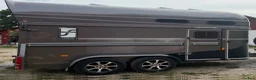Hästtransporter  fordon & transport till salu: Forzab Classic - 2021 - Annons 4