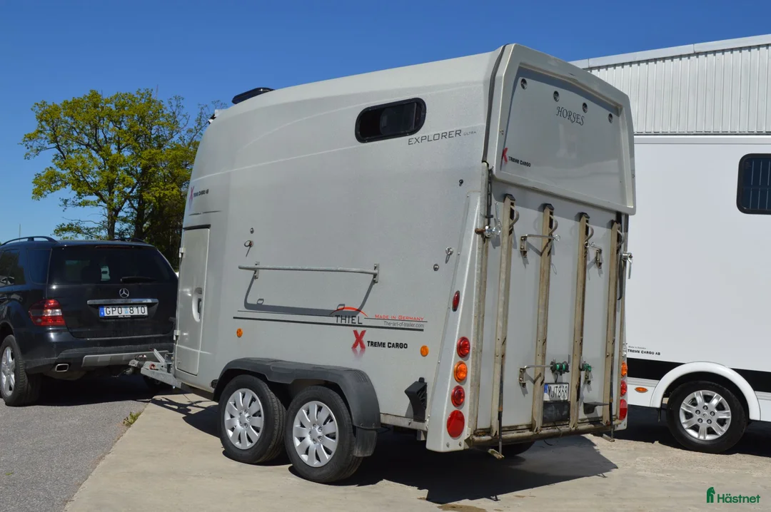 Hästtransporter  fordon & transport till salu: Thiel Explorer 2017 - Annons 2