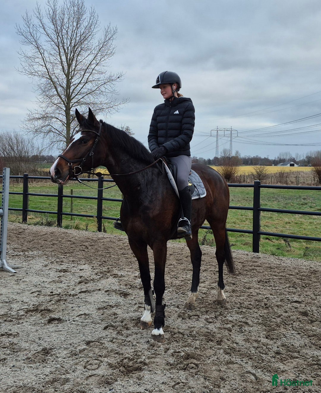 Hoppning hästar till salu: Välbalanserat 5års sto i Dösjebro - Annons 5