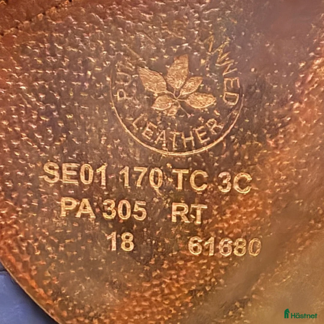 Sadlar hästutrustning till salu: CWD SE01 - Annons 2