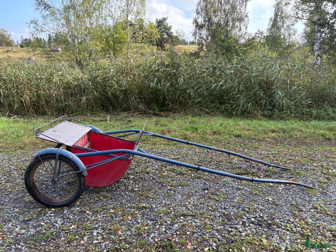 Travsulkys trav till salu: Hudik Rockard i Vikbolandet - Annons 1