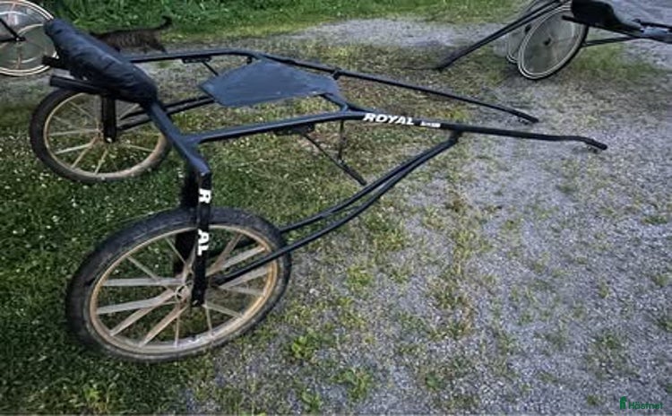 Travvagnar trav till salu: Royal Hawk Hawk i Ockelbo - Annons 8