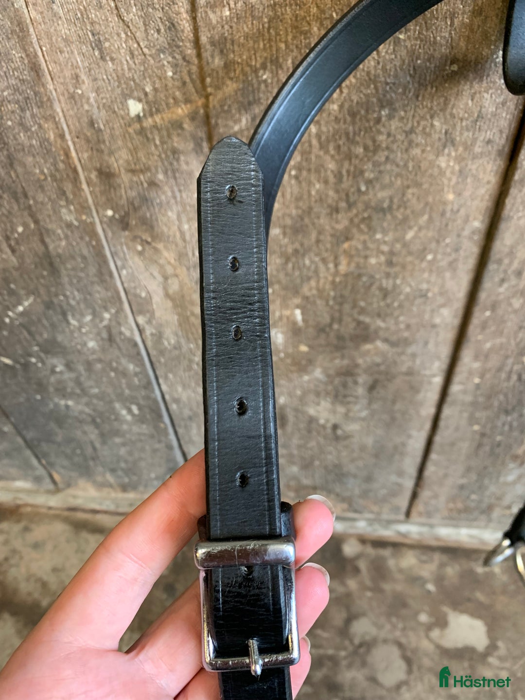 Övrig Hästutrustning hästutrustning till salu: Förbygel i Ekerö - Annons 3