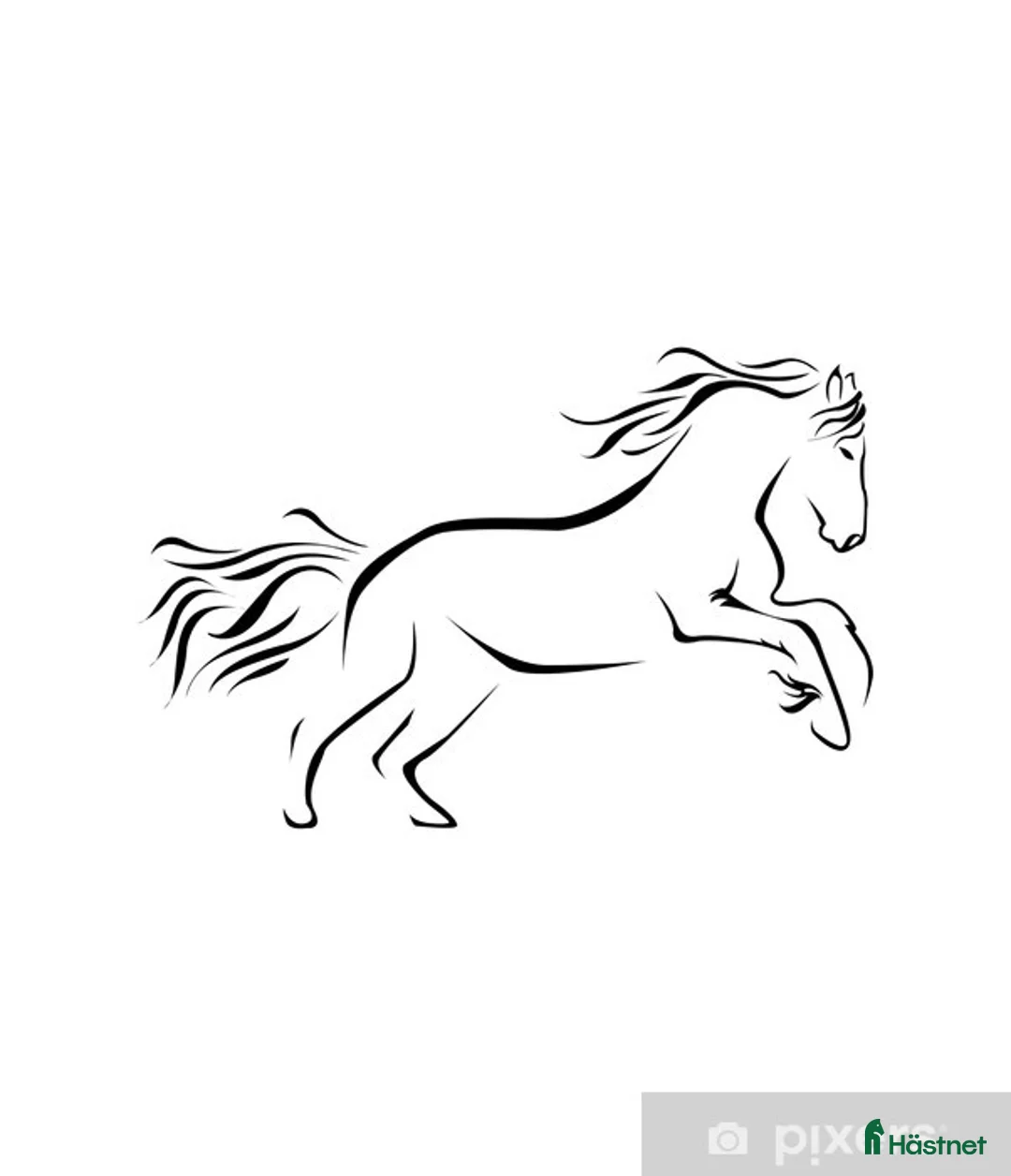 Allround hästar sökes: Söker en häst för hobby ridning - Annons 1