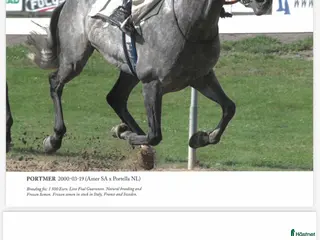 avel Fryst sperma (FAI) - arabhingsten Portmer - Annons 2