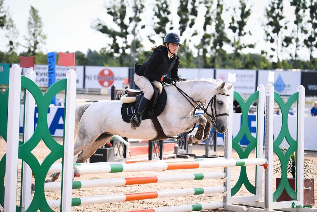  hästar Ungponny med hjärta av Guld  - Annons 1