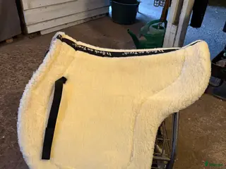 Schabrak & Vojlockar hästutrustning till salu: Back on Track i Örebro - Annons 3