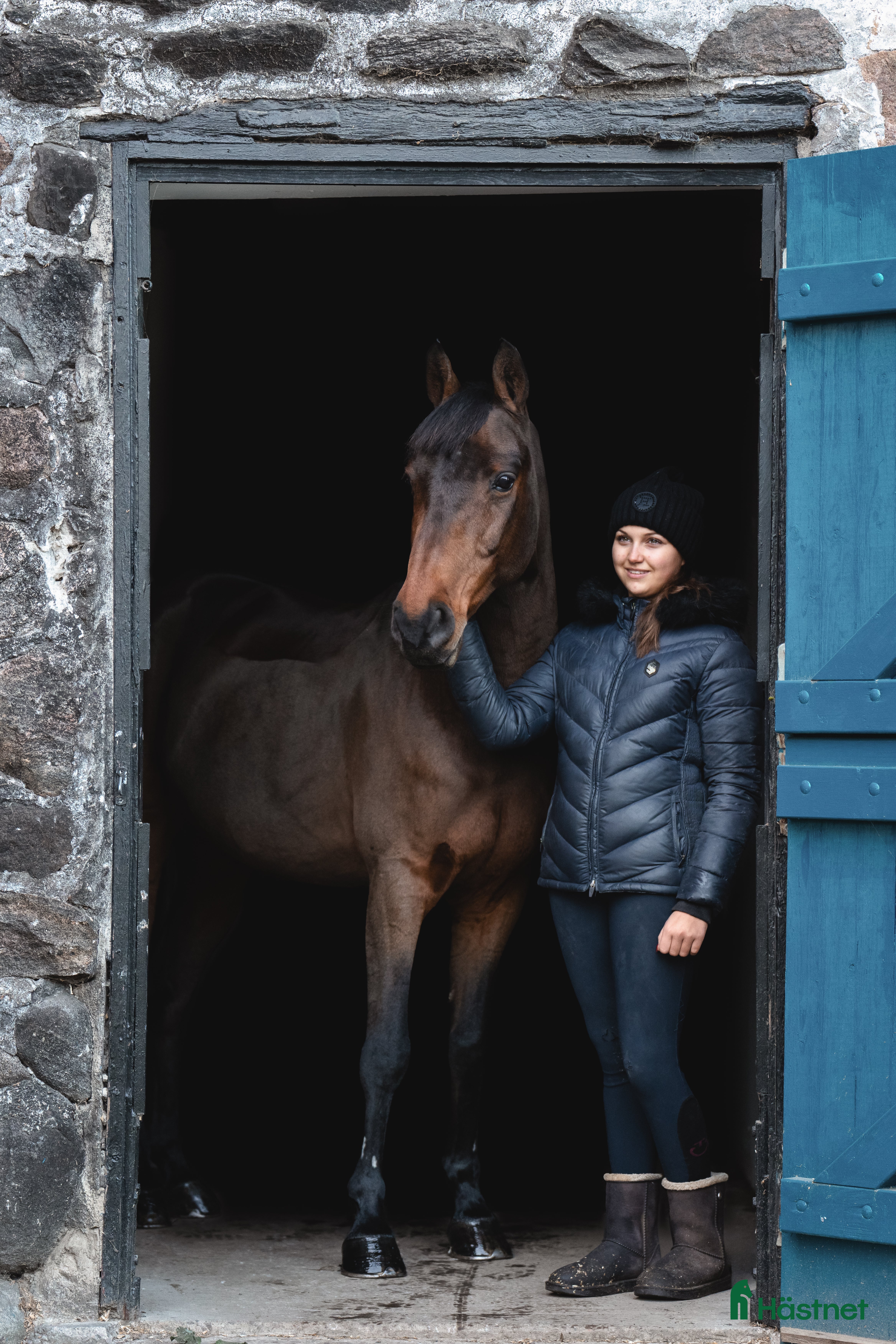  hästar Världens bästa vän och tävlingskamrat! i Viken - Annons 9