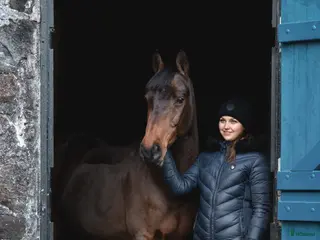 hästar Världens bästa vän och tävlingskamrat! i Viken - Annons 10