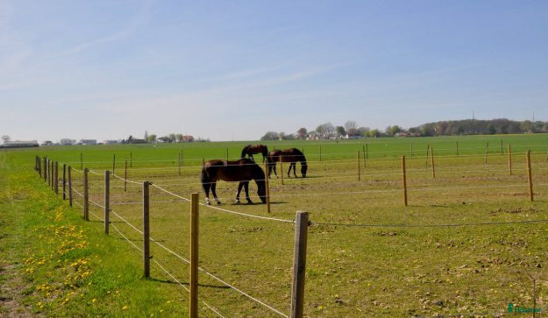  stallplats finnes: Charmig lägenhet med havsutsikt med boxplats  i Bjärred - Annons 7