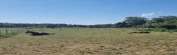  stallplats finnes: plats i Lösdrift finnes!  - Annons 1