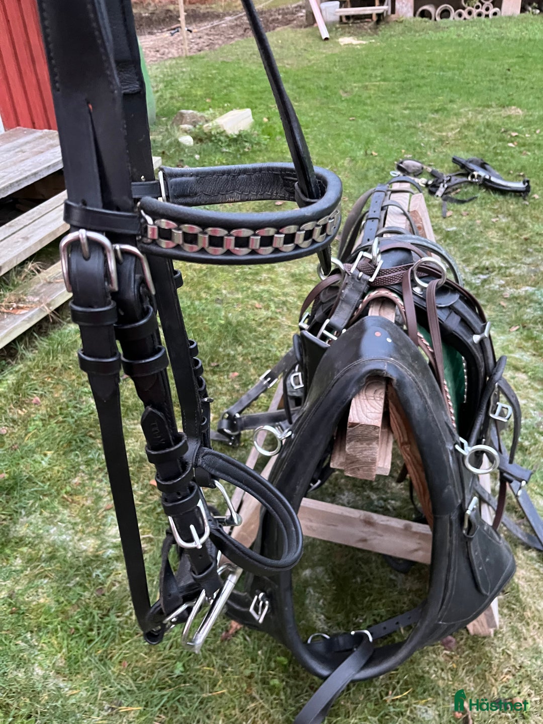 Körselar körning till salu: Maratonsele med fransk brösta storlek Shire i Västra Ämtervik - Annons 9