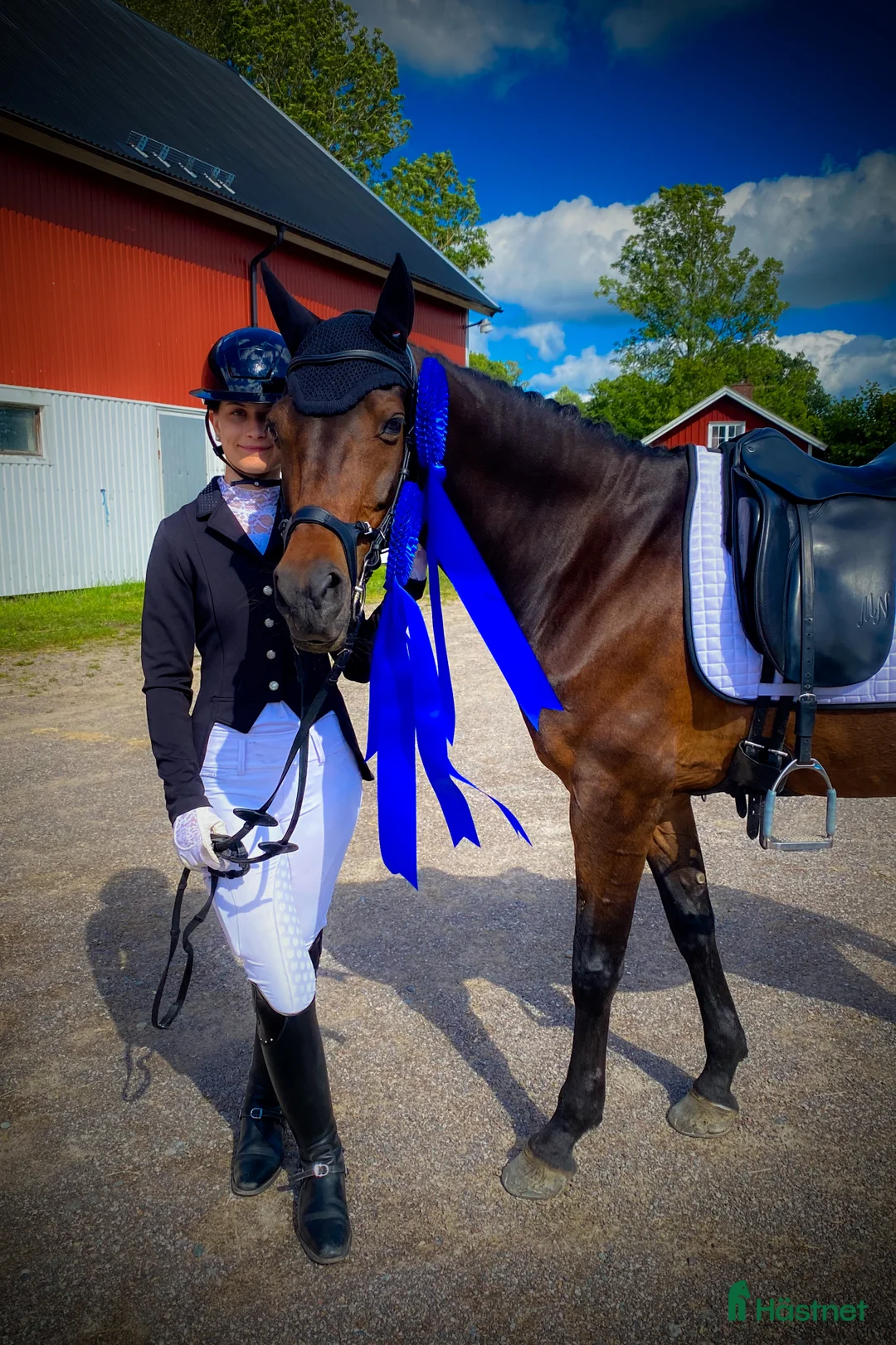 Dressyr hästar till salu: Elegant FEI ponny i Aneby - Annons 5