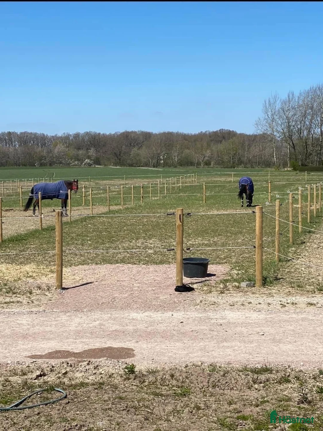  stallplats finnes: Boxplats finnes i Eslöv  i Eslöv - Annons 2