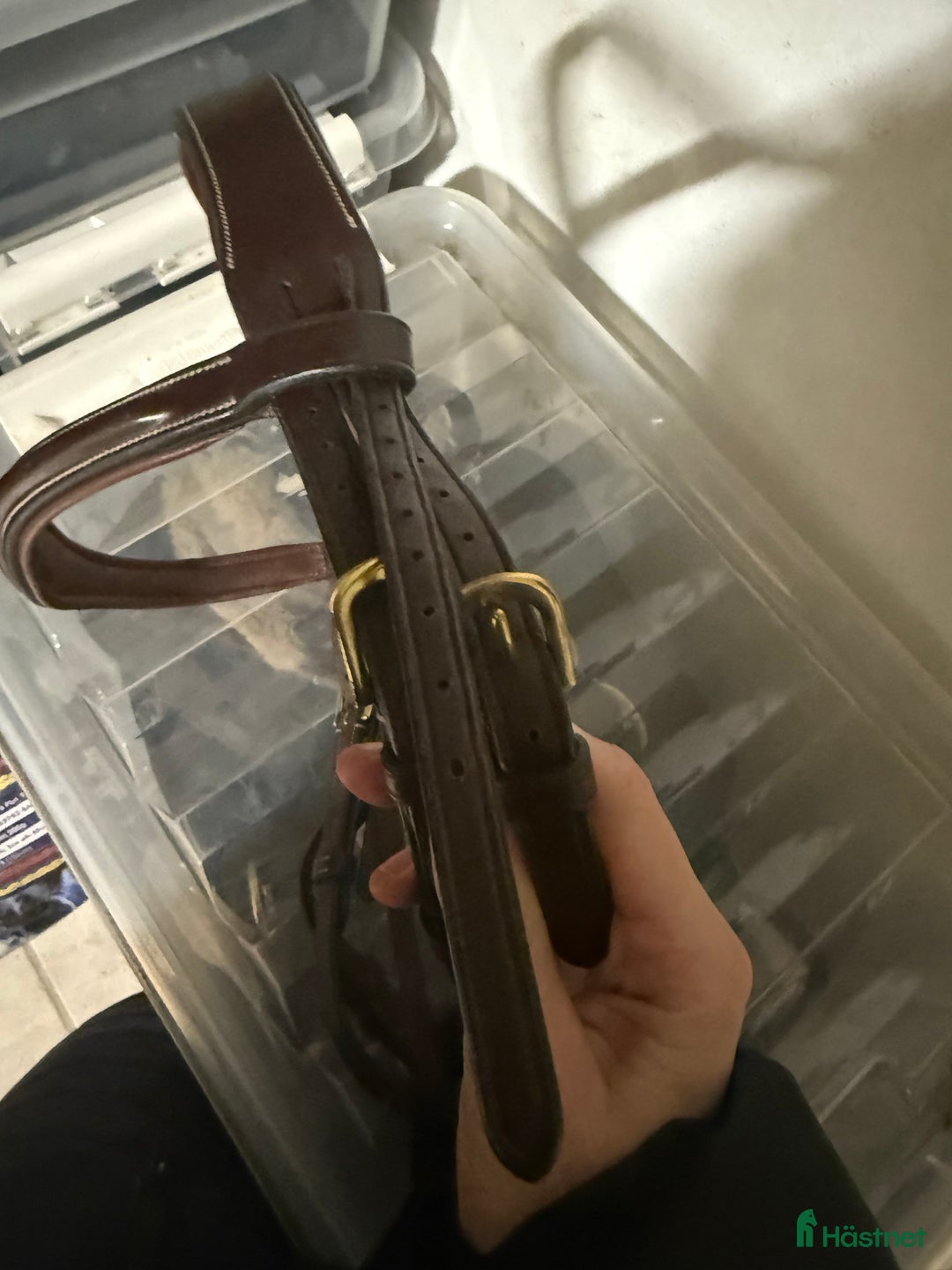 Träns hästutrustning till salu: Superfint Dyon träns! i Höllviken - Annons 9