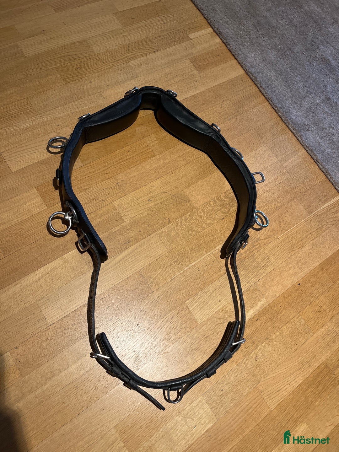 Övrig Hästutrustning hästutrustning till salu: Tömkörningsgjord  i Åkersberga - Annons 1