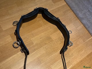 Övrig Hästutrustning hästutrustning till salu: Tömkörningsgjord i Åkersberga - Annons 1