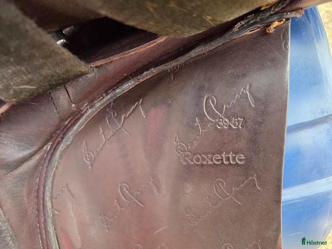 Sadlar hästutrustning till salu: Santa Cruz Roxette - Annons 6