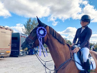 hästar i Åtvidaberg - Annons 4