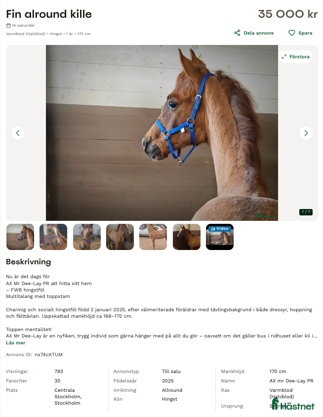 Bett hästutrustning testtesttesttest - Annons 1