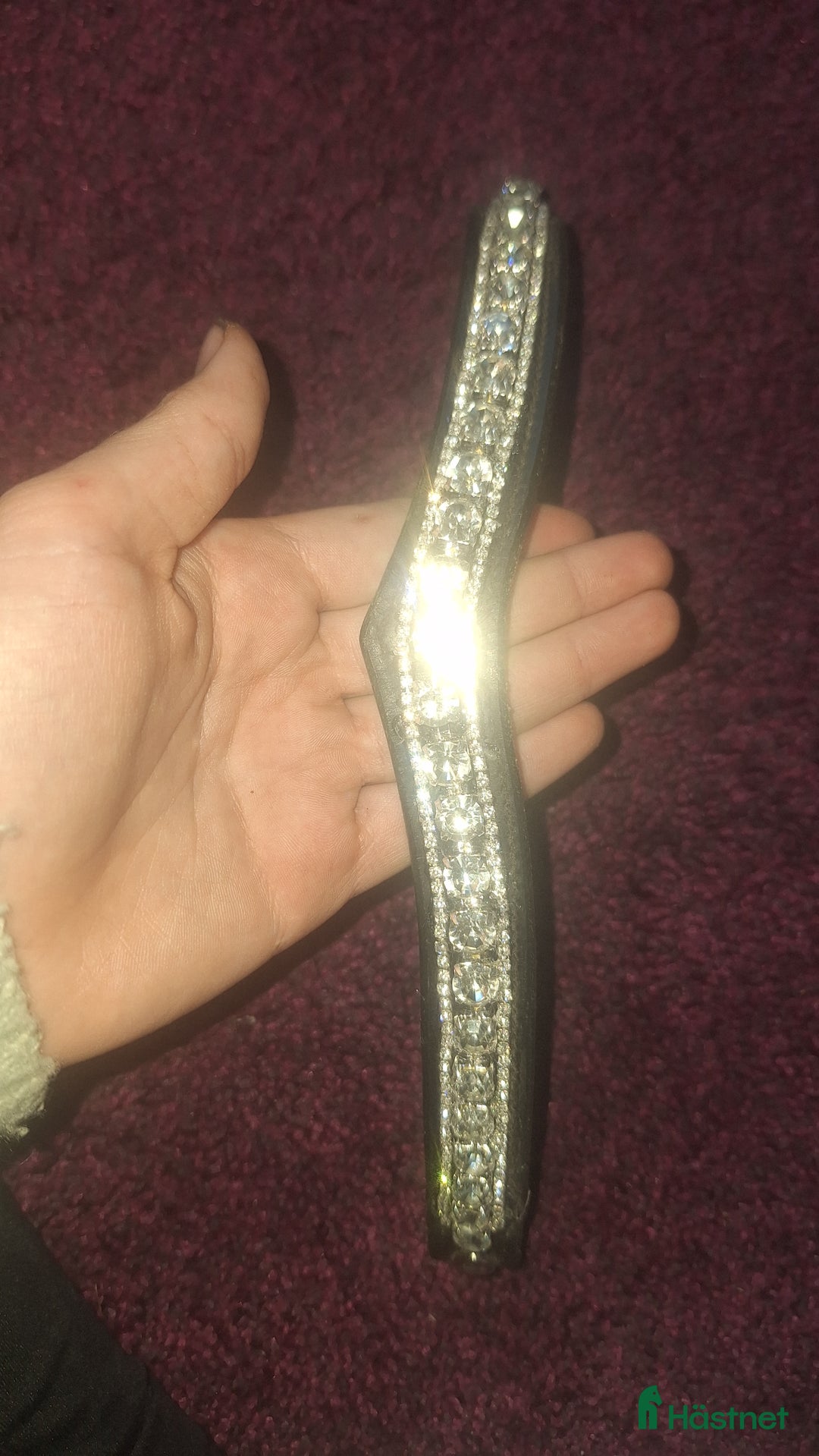 Träns hästutrustning till salu: 🌟Panband till salu🌟 i Nora - Annons 3