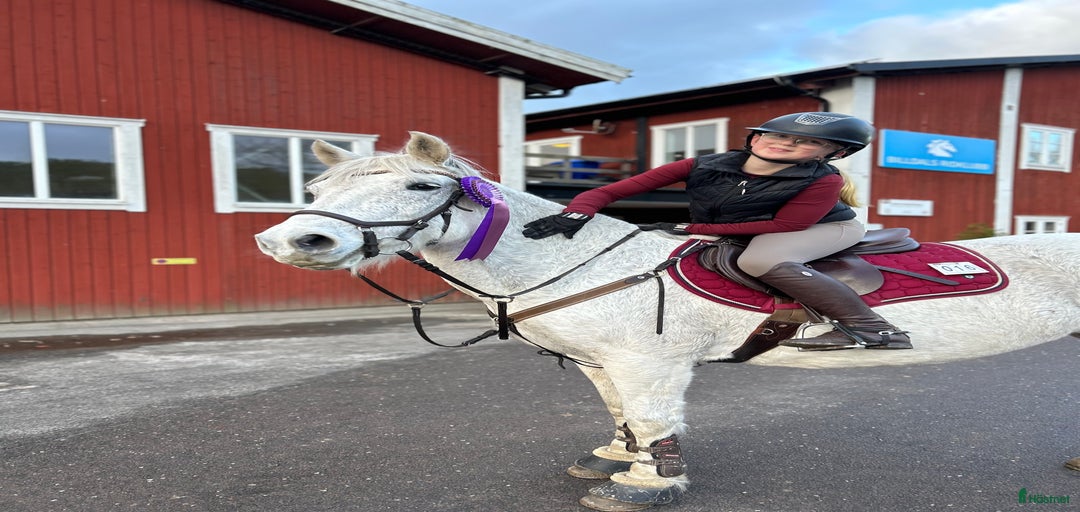 Galleribild {{count}}