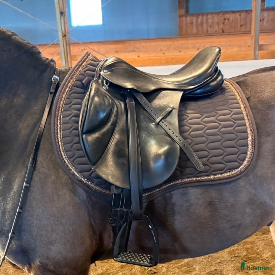 Sadlar hästutrustning Hoppsadel Cliff Barnsby - Annons 1